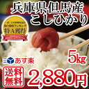 新米 兵庫県但馬産【 あす楽 】【 送料無料 】【