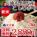 新米 特A ランク 兵庫県但馬産 あす楽 送料無料 白米 5...