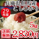 エントリーでポイント 5倍 特A ランク 兵庫県但馬産 米 ...