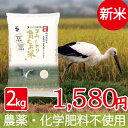 新米 無農薬 無化学肥料 自然栽培 米 食べる健康!食べる貢...
