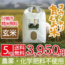 新米 無農薬 無化学肥料 送料無料 玄米 5kg 食べる健康...