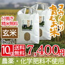 新米 無農薬 無化学肥料 送料無料 玄米 10kg