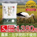 無農薬 無化学肥料 送料無料 食べる健康!食べる貢献!生命を育むお米 コウノトリ育むお米 白米 5kg 有機 肥料 コシヒカリ 西日本 兵庫県 但馬産 特A 米妊活 たまごクラブ 提供 上野動物園 パンダ へ提供