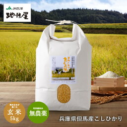 新米 令和5年産 無農薬 玄米5kg 無化学肥料 送料無料 <strong>有機玄米</strong> 無農薬玄米 食べる健康！生命を育む コウノトリ育むお米 有機 玄米 無農薬 <strong>コシヒカリ</strong> 但馬産 特A 無農薬米 玄米食 発芽玄米 発酵玄米 精選済 玄米食 石 籾 抜き こうのとり 豊岡