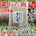 平成28年産 送料無料 お試し 減農薬 無化学肥料