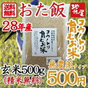 送料無料 お試し 無農薬 無化学肥料 自然栽培 玄米 (精米...