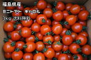 3kg ミニトマト キャロルスター 要冷蔵便 福島県産