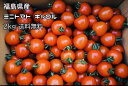 2kg ミニトマト キャロルスター 要冷蔵便 福島県産