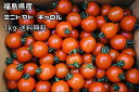 1kg 福島県産 ミニトマト キャロルスター 要冷蔵便