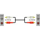 CN-5100G JVC ピンプラグ(×2)⇔ピンプラグ(×2) 10.0m