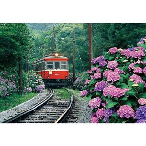 鉄道の旅 あじさい薫る箱根登山鉄道　300ピース 【税込】 エポック社 [セントラル26-217アジサイカオルハ]【返品種別B】