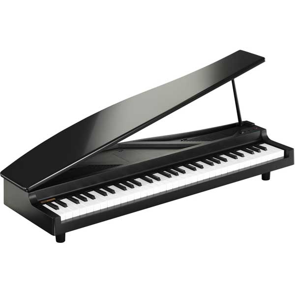 MICRO PIANO-BK【税込】 コルグ 61鍵ミニピアノ (ブラック) KORG M…...:jism:10855028