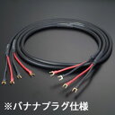EVO-1302S SP2.5B AET スピーカーケーブル2.5m・ペア【受注生産品】 AET