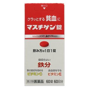 【第2類医薬品】マスチゲン錠 60錠 日本臓器製薬 マスチゲンジヨウ60T [マスチゲンジヨウ60T]【返品種別B】