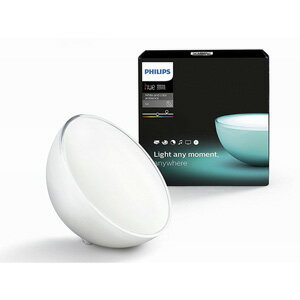 PT46497L フィリップス LEDスタンド Philips Hue Go