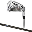 VG18IDRI6RAS タイトリスト VG3 アイアン TYPE-D Titleist VGIシャフト AS(49°) フレックス:R