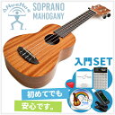 ウクレレ 初心者セット アヌエヌエ 【クリップチューナー付属 7点 入門セット】 aNueNue Aqua-001 Soprano Mahogany ソプラノ マホガニー Aqua001 ウクレレ 初心者セット アヌエヌエ 【クリップチューナー付属 7点 入門セット】 aNueNue Aqua-001 Soprano Mahogany ソプラノ マホガニー Aqua001