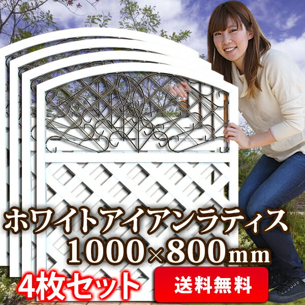 アイアンホワイトラティス1000×800＜4枚セット＞(aks-43453set)≪西濃便…...:jjpro:10001697