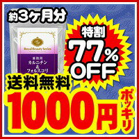 10%OFFセール開催中!48時間限定!まさかの1000円ポッキリ★【業務用　カルニチン＆フォルスコリ （約3ヶ月分） 180粒】[メール便対応商品]※キャンセル・変更・返品交換不可※代引別途送料