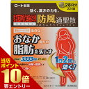 +P4倍【第2類医薬品】和漢箋 わかんせん ロート
