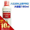 ◆松風 ハミガキ上手PRO 180ml◆《歯科専売品 歯科専売 はみがき上手 はみがき ハミガキ 上手プロ プロ》