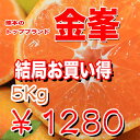 【訳あり】熊本県のブランドみかん『金峯』5kg入り[ 全国送料￥600]も