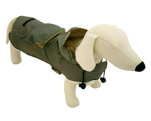 ڡۡڥݥ10ܡۢѥ쥤󥦥ѢޤꤿơӤˤʥ쥤󥳡Ȣڥեɥݥȡۥաշѥ쥤󥳡ȡ