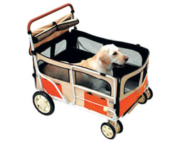 ڡۡڥݥ10ܡ̵ۡۢ㤪⥫ȡ桦緿Ѣ괶Τ꿴ϤǾ֤ñڥڥƥϷѤ⥫Ȣ㤪󤻾ʢsmtb-kۡkb