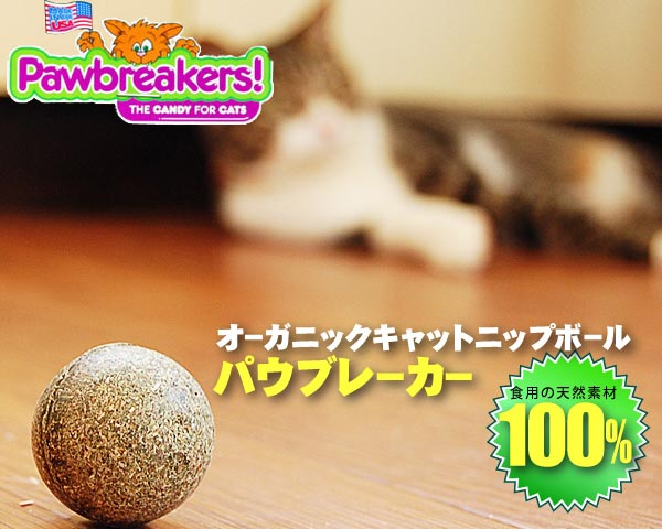 パウブレーカー（オーガニックキャットニップボール）≪お取り寄せ商品≫【ポイント10倍】≪キャットトイ/猫用≫◎かぐわしく、食べちゃってもいいボール♪