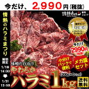 ハラミ 焼肉 バーベキュー 送料無料 今だけ2990円税抜 楽天ランク1位 やわらか ハラミ