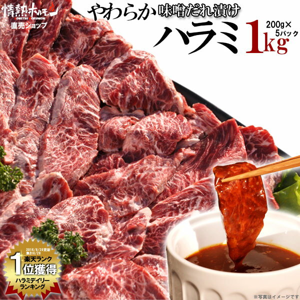 焼肉セット 送料無料【あす楽】【小分けパックで便利】楽天ランク1位やわらかハラミメガ盛り味…...:jonetsu:10000362