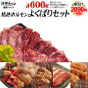 焼肉 バーベキュー 肉 送料無料 今だけ2090円税抜 情熱ホルモンよくばりセット(計600g)(北海道・沖縄配送時は別途送料追加) BBQ 肉 焼肉セット バーベキューセット BBQセット【A群☆送料無料セット】