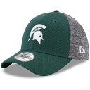 ニューエラ NEW ERA 灰色 グレー グレイ ミシガン スケートボード スパルタンズ 緑 グリーン 【 GRAY STATE GREEN NEW ERA HEATHERED MICHIGAN SPARTANS FIERCE FILL 39THIRTY FLEX HAT MSU 】 バッグ キャップ 帽子