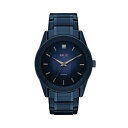  Ch F u[ EHb` v Y   WATCH RELIC BY FOSSIL RYLAN DIAMOND ACCENT BLUE   ׎ɓdr؂̏ꍇ܂̂ŗ\߂B