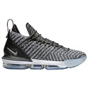 【海外限定】ナイキ レブロン men's メンズ nike lebron 16 mens