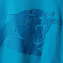 ナイキ NIKE カロライナ パンサーズ ラッシュ ロゴ Tシャツ 青 ブルー 【 RUSH BLUE NIKE CAROLINA PANTHERS COLOR LOGO TSHIRT 】 メンズファッション トップス Tシャツ カットソー