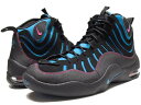 【海外取寄せ☆レア商品】nike air bakin ナイキ エア ベイキン le hoh【デニスロッドマン】【house of hoops】 black ブラック 黒 /neo ナイキ turq cherry【メンズ 男性用】 ナイキ
