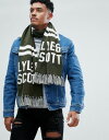 アッシュ ASH ロゴ 緑 リーフ GREEN SEASHELL メンズマフラー & イン ライル スコット グリーン スカーフ ストール メンズ テキスト 男性用 【 LYLE SCOTT TEXT LOGO SCARF IN LEAF 】