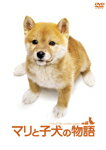 【送料無料】マリと子犬の物語 スペシャル・エディション/船越英一郎[DVD]【返品種別A】【Joshin webはネット通販1位(アフターサービスランキング)/日経ビジネス誌2012】