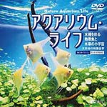 ANAEECt ʂMыƐ̏F/BGV[DVD]yԕiAz