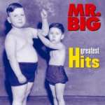 [枚数限定]グレイテスト・ヒッツ＜スーパー・ファンタスティック・ベスト2009＞/MR.BIG[CD]【返品種別A】