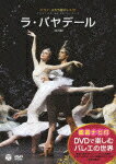 【送料無料】DVDで楽しむバレエの世界「ラ・バヤデール」(ミラノ・スカラ座バレエ団)/スヴェトラーナ...:joshin-cddvd:10354051