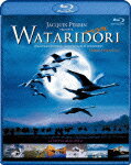 【送料無料】WATARIDORI ディレクターズ・カット -デジタル・レストア・バージョン- Blu-ray/ドキュメンタリー映画[Blu-ray]【返品種別A】