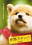 【送料無料】幼獣マメシバ DVD-BOX/佐藤二朗[DVD]【返品種別A】【Joshin webはネット通販1位(アフターサービスランキング)/日経ビジネス誌2012】