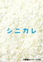 【送料無料】シニカレ完全版 ブルーレイBOX/藤ヶ谷太輔[Blu-ray]【返品種別A】