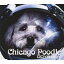 ODYSSEY/Chicago Poodle[CD]ʔ