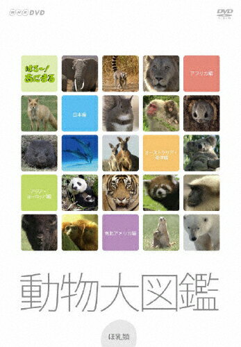【送料無料】はろ〜あにまる! 動物大図鑑 DVD-BOX/動物[DVD]【返品種別A】