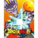 【送料無料】ドラゴンボール超 Blu-ray BOX2/アニメーション[Blu-ray]【返品種別A】