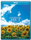 【送料無料】virtual trip 北海道・夏【Blu-ray Disc】/BGV[Blu-ray]【返品種別A】