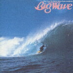 Big Wave/RBY[CD]